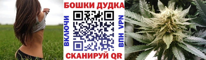 где купить наркоту  Котовск  OMG как войти  Бошки марихуана SATIVA & INDICA 